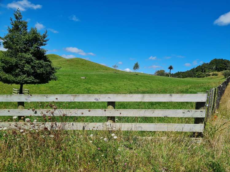 0n Lincoln Road Everett Park_8