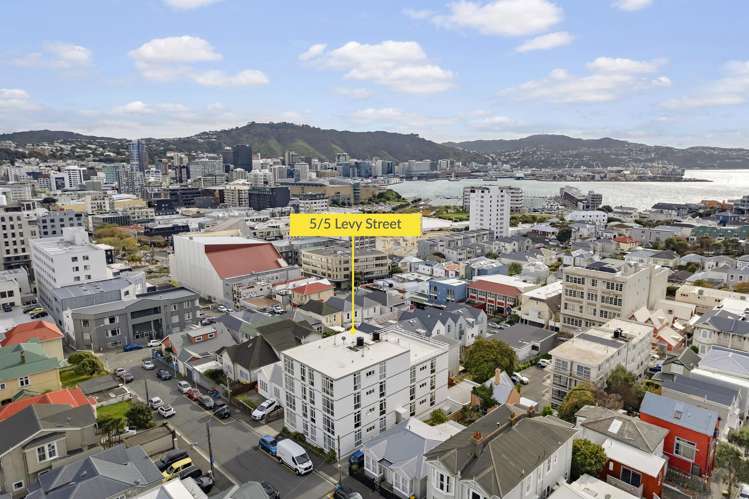 5/5 Levy Street Mount Victoria_14