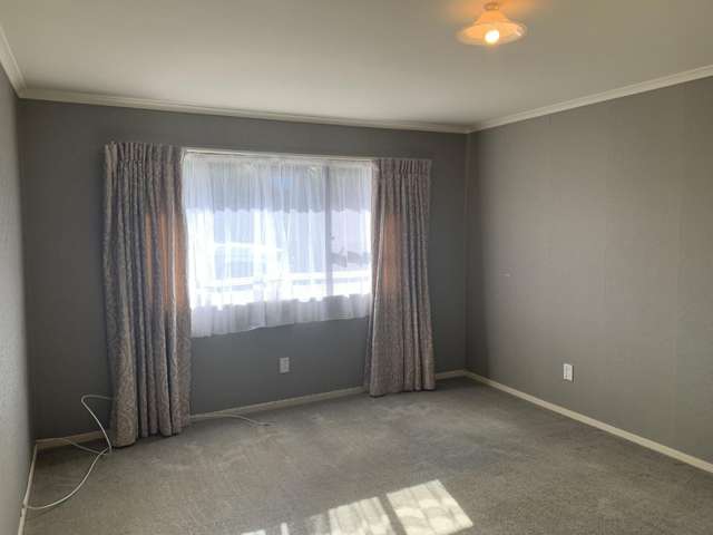 8 Hammond Street Bulls_4