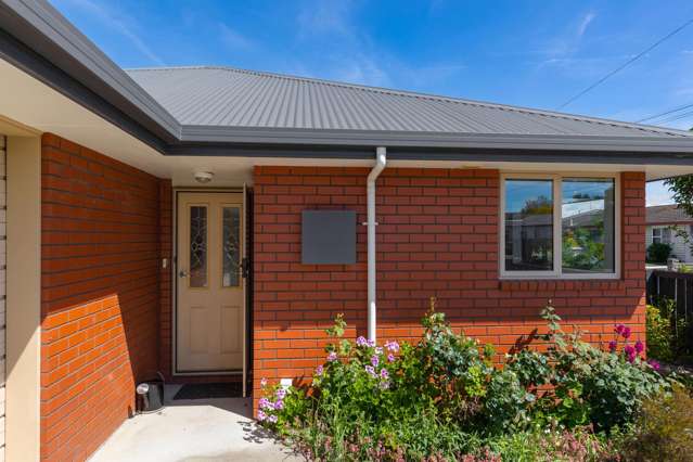 113 Charles Street Blenheim Central_1