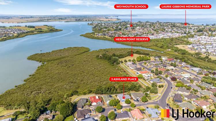 3 Ashland Place Manurewa_20