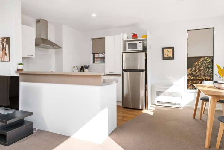 3/8 Hillsborough Terrace Hillsborough_4