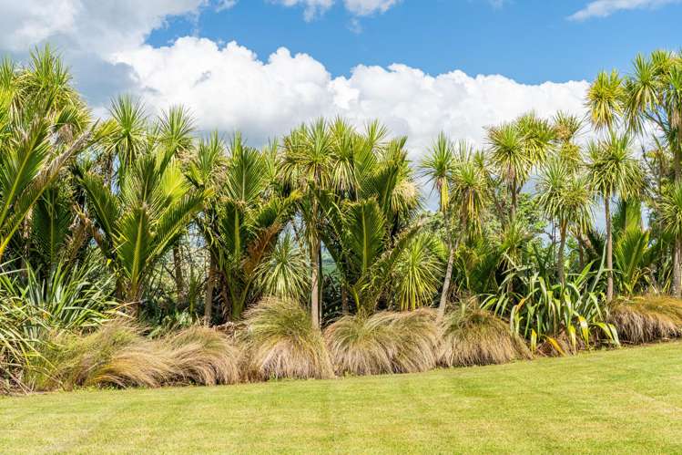 91 Whaka Street Maungaturoto_22