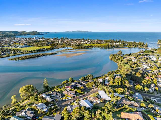 Estuary Opportunity, Potential Plus