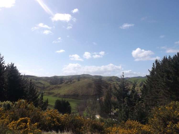 951h Waingaro Road Glen Massey_1