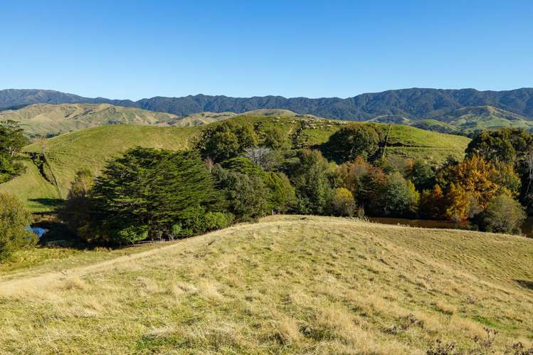 148 Mangatainoka Valley Road Eketahuna_29