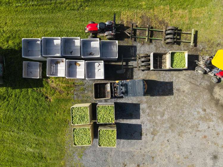 590 Matawai Road Waerengaahika_8