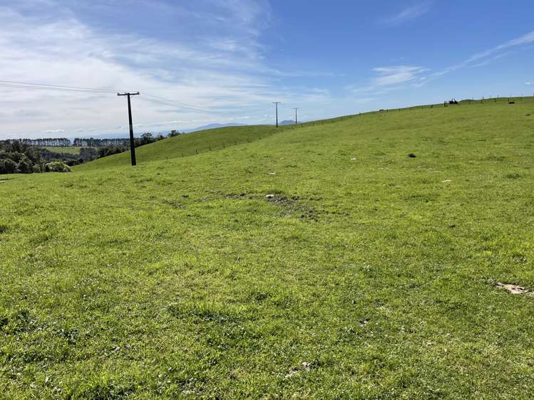 Pekanui Road Puketotara_14