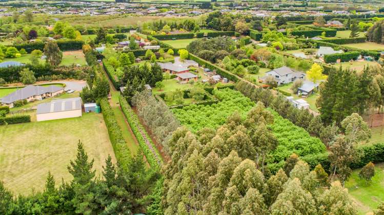 1061 Tram Road Swannanoa_26