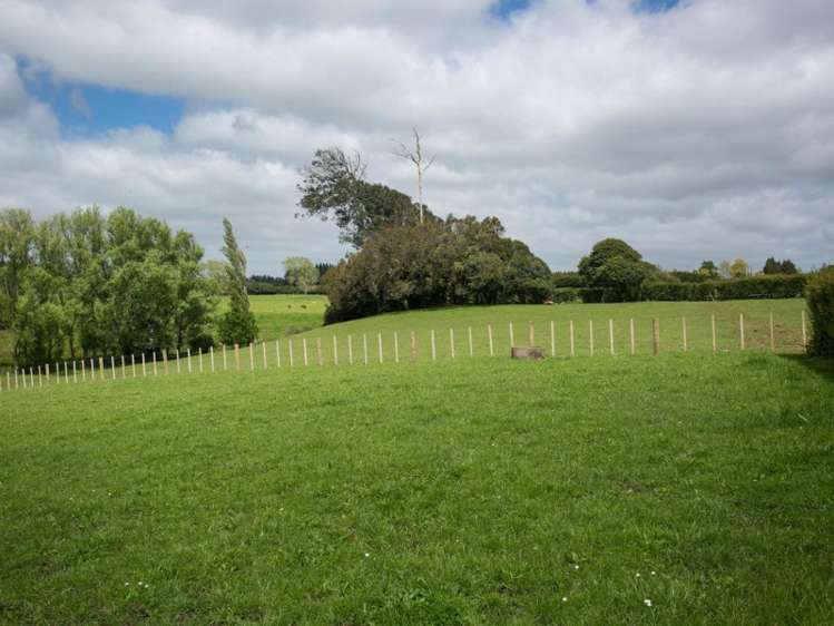 8 Laxon Road Whatawhata_5