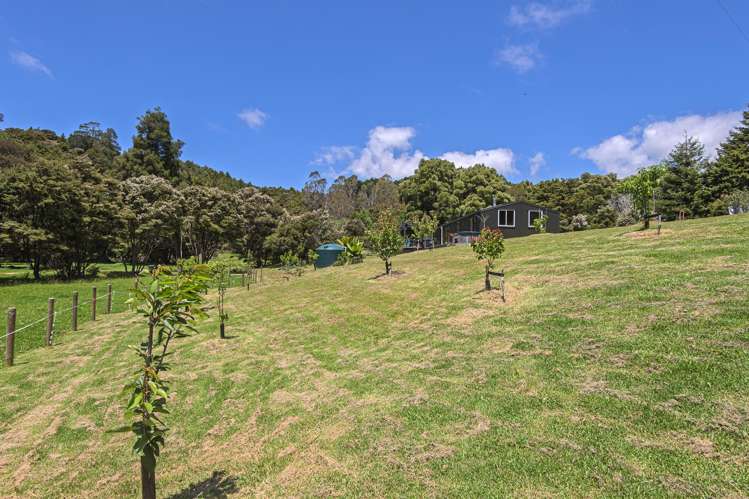 241a Hailes Road Whananaki_21