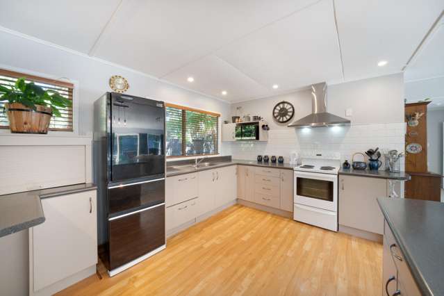 39A Gemstone Drive Birchville_4