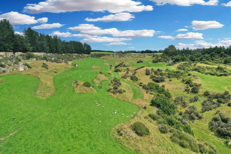 82 Paradise Gully Road Ngapara_22