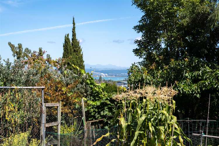 20 Douglas Road Wakatu_14