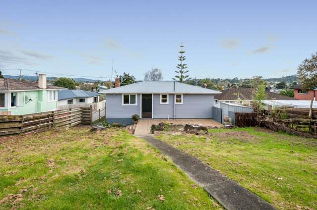 169 Rathgar Road Henderson_4