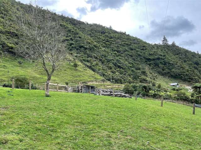 1344 Otara Road Opotiki Coastal_3