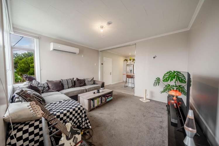 34 Theodore Street Bluff_6