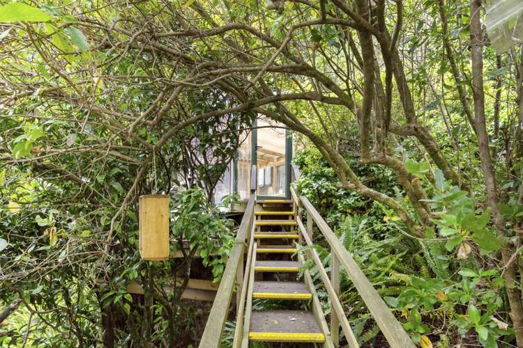 91 Kawakawa Bay Coast Road Kawakawa Bay_5