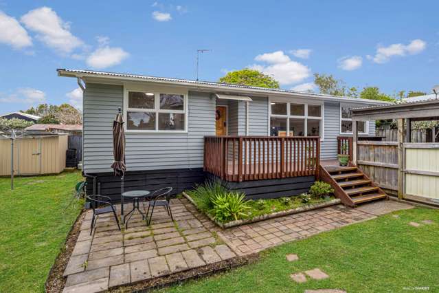 Charming, Renovated & Ready in Central Swanson!
