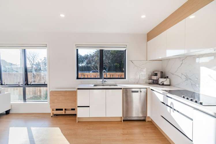 145 Astley Avenue New Lynn_4