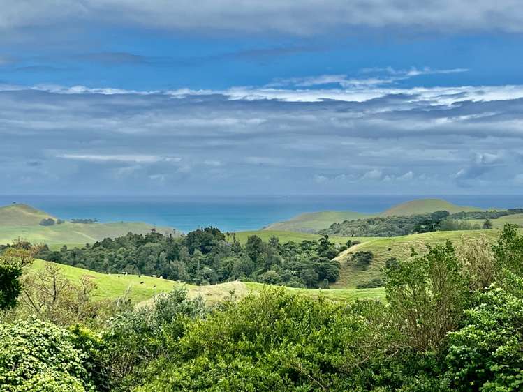 724a Ruapuke Road Raglan_6