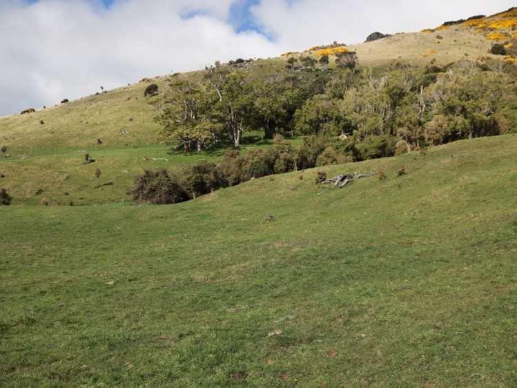 151 Stony Bay Road Akaroa_13