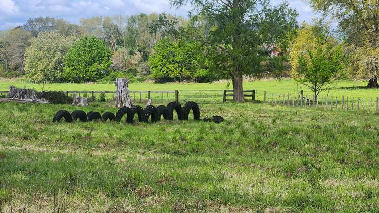 927 Tauwhare Road Pukemoremore_8