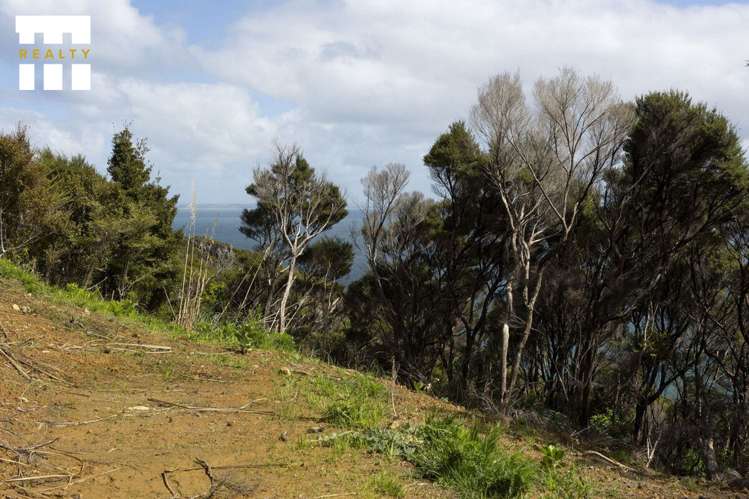 Lot 4/303 Waiaua Road Hihi_24