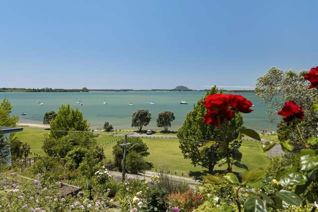 Want This View? Build Here.
