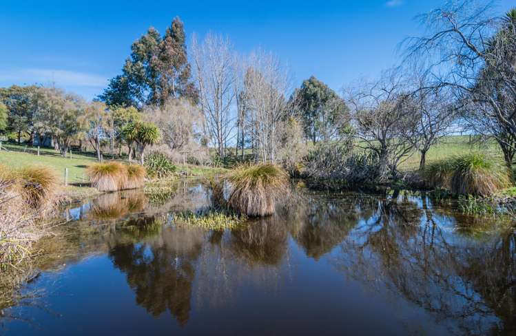 214 Rosebrook Road Timaru Surrounds_31
