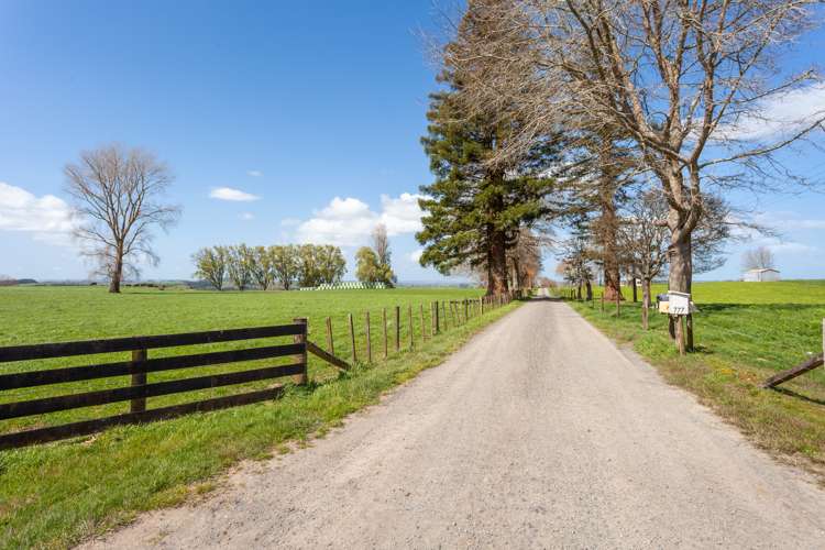 777 Oreipunga Road Cambridge_15