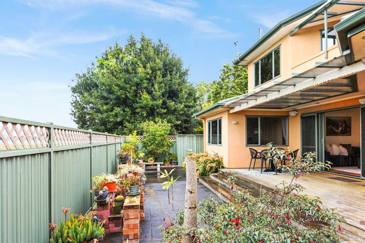 248 Kennedy Road Onekawa_18