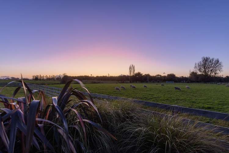 1211b Gordonton Road Gordonton_24