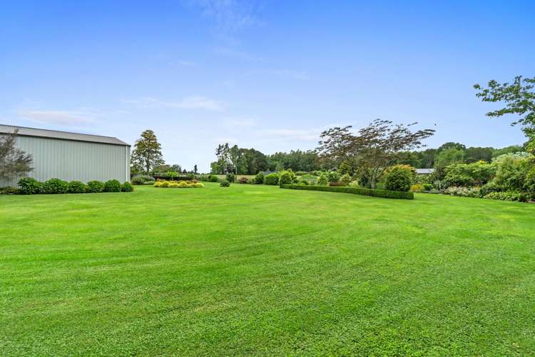 8 September Grove Tamahere_21