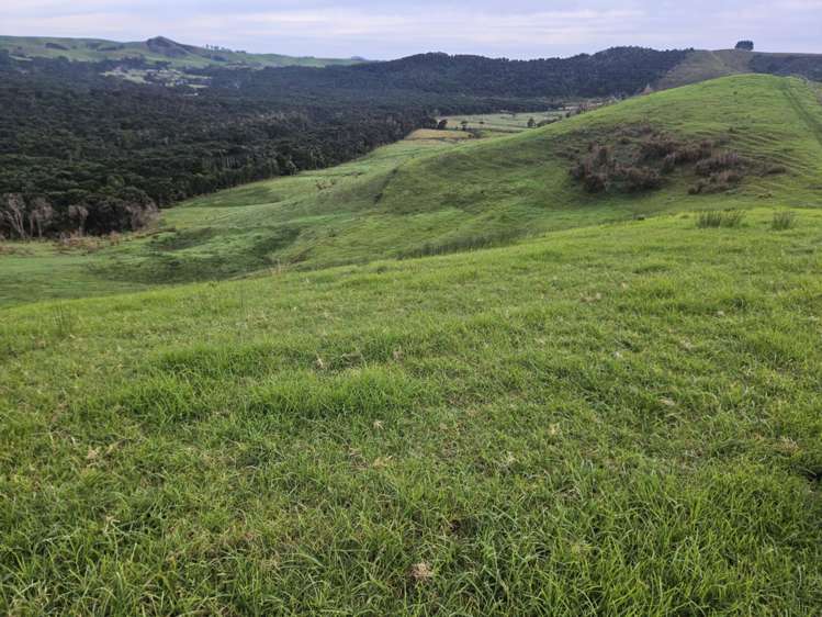 Lot 1/36 Te Moho Road Taipa_16