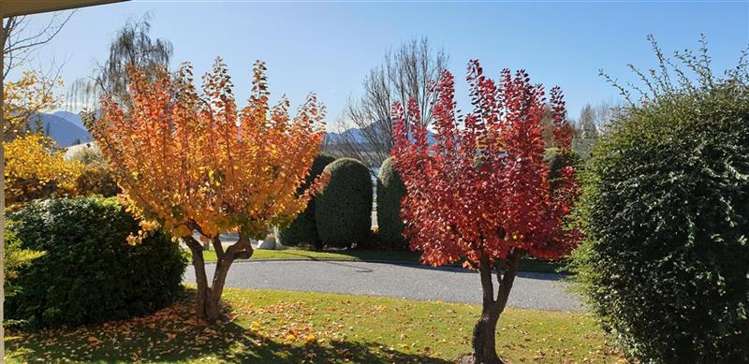 4 Norman Terrace Wanaka_23