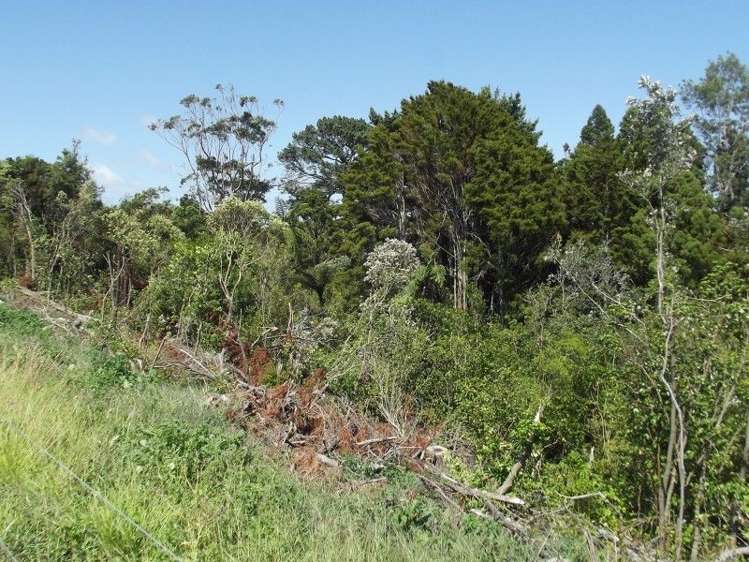 293 Perth Road Okato_11