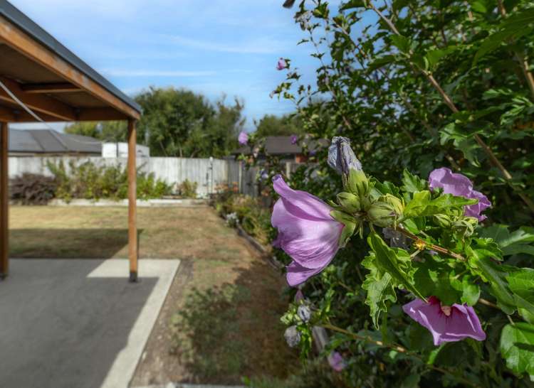 32 Blunt Road Te Kauwhata_26