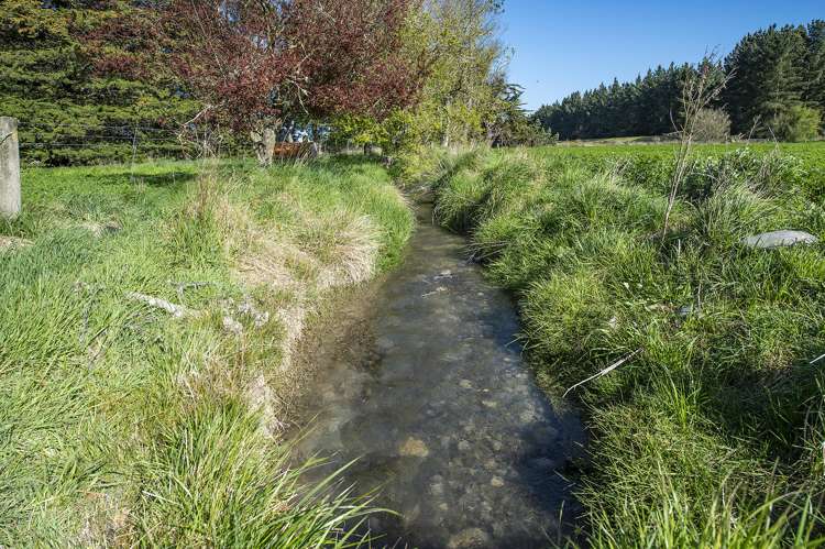 Thompsons Road West Melton_9