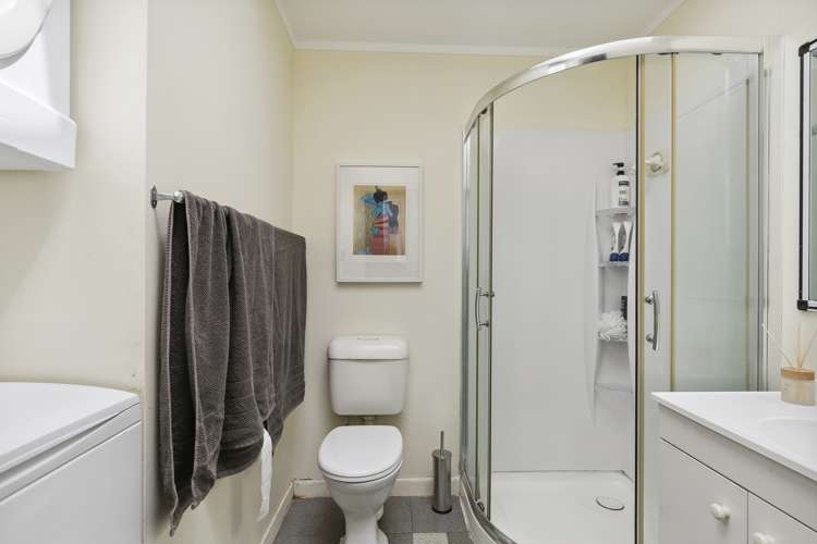 66 Elizabeth Street Mount Victoria_7