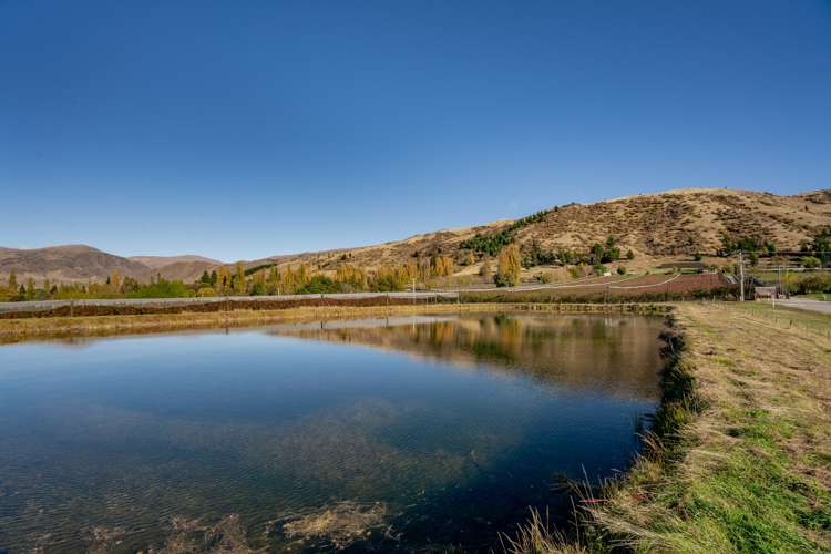 123 Ord Road Cromwell_5