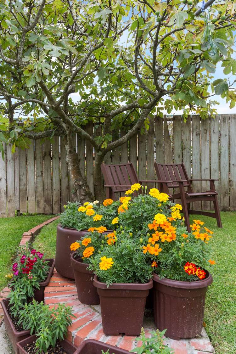 82 Royal View Road Te Atatu South_14