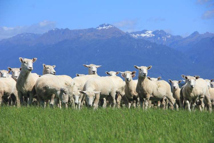 133 Dale Road Te Anau_17