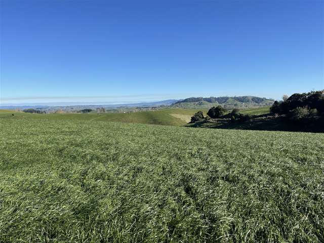 644A Bayley Road Te Awamutu_3