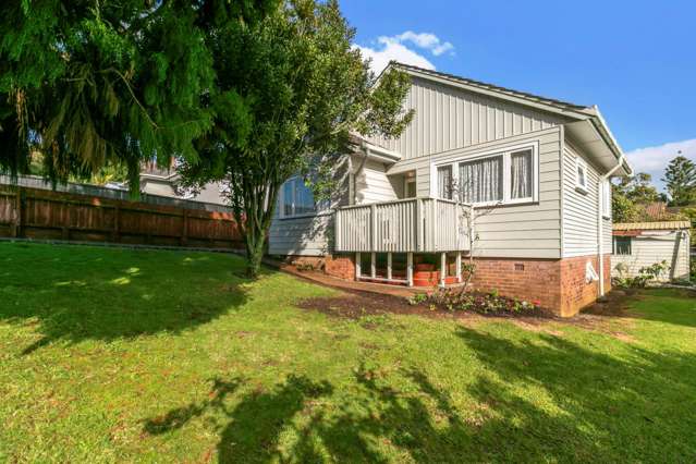 17 Carlton Street Hillsborough_1