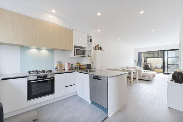 43B Fitzherbert Avenue_2