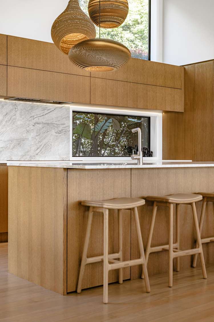 16 Darwin Lane Remuera_23