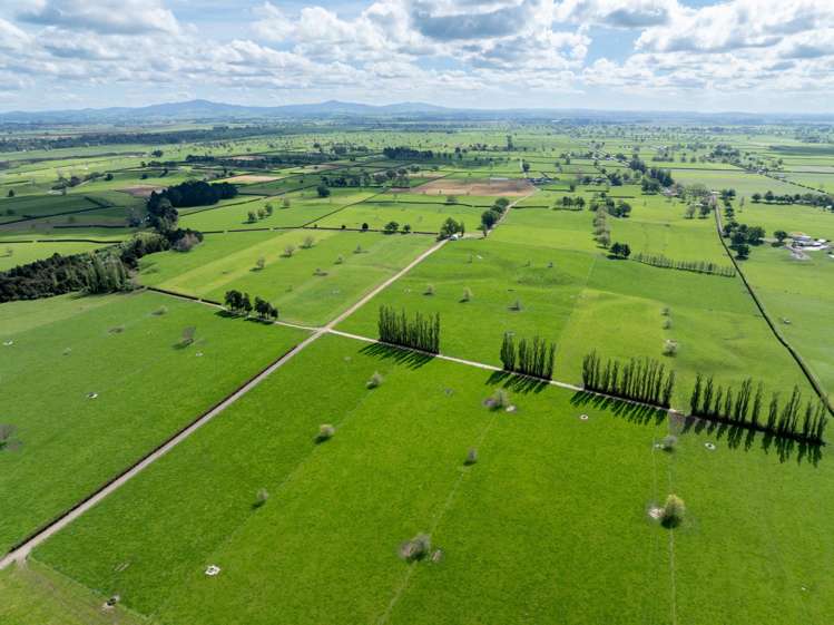 72 and 82 Harding Road Matamata_32