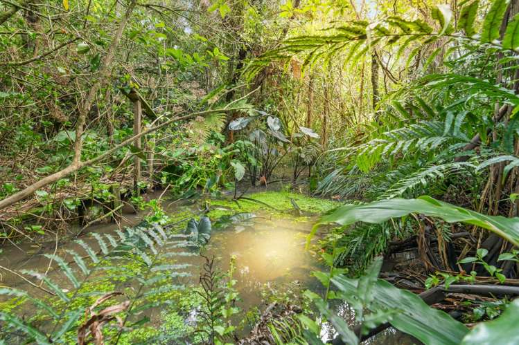 83 Anawhata Road Anawhata_21