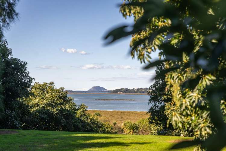 80 Prestidge Road Aongatete_29